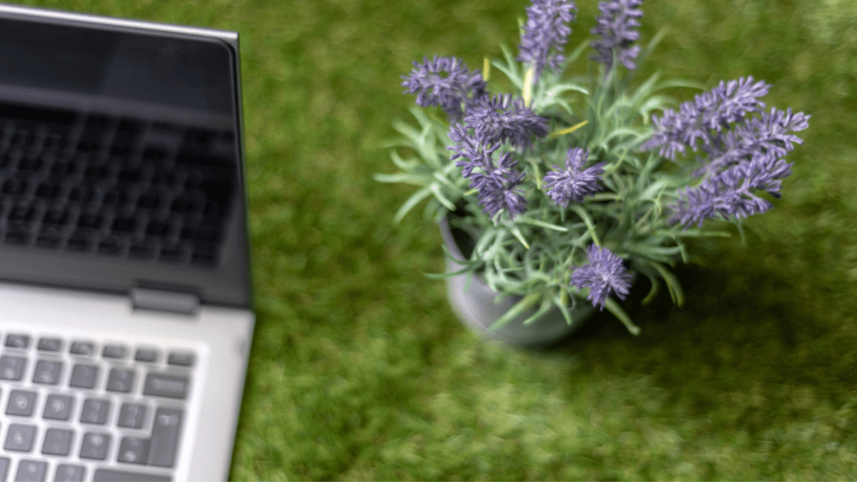 Why Intentional Rest Boosts Performance