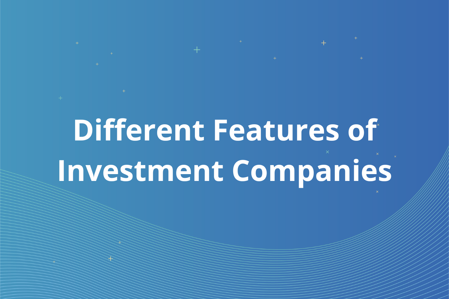 What Is The Difference Between Different Features of Investment Companies?